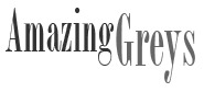 Amazing Greys